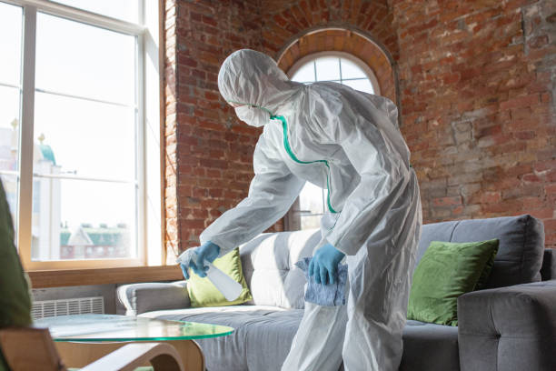 Why You Should Choose Our Mold Remediation Services in Reisterstown, MD